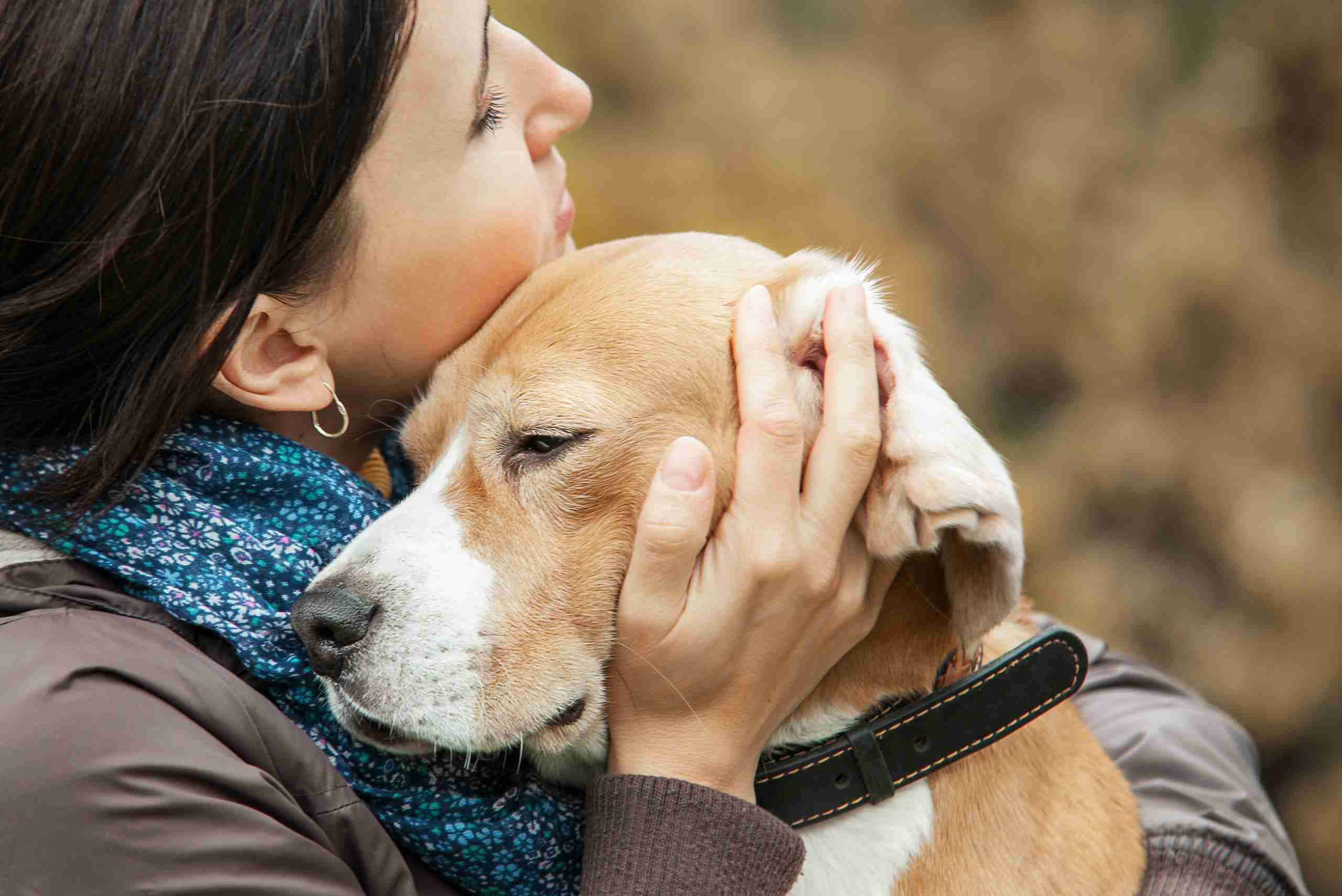 5 coisas que os cães percebem nos humanos