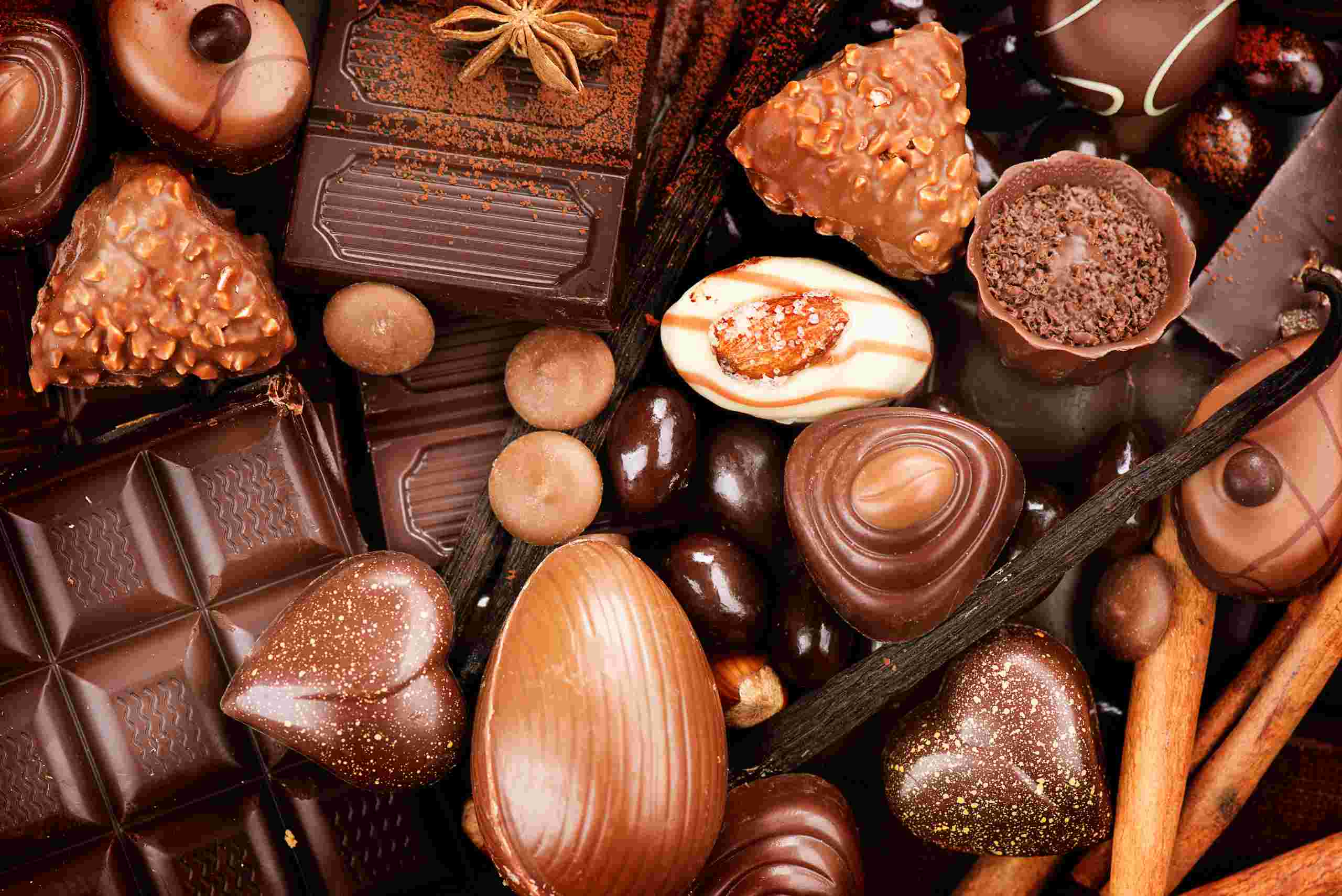Chocolate O Perigo para os Seus Animais de Estimação